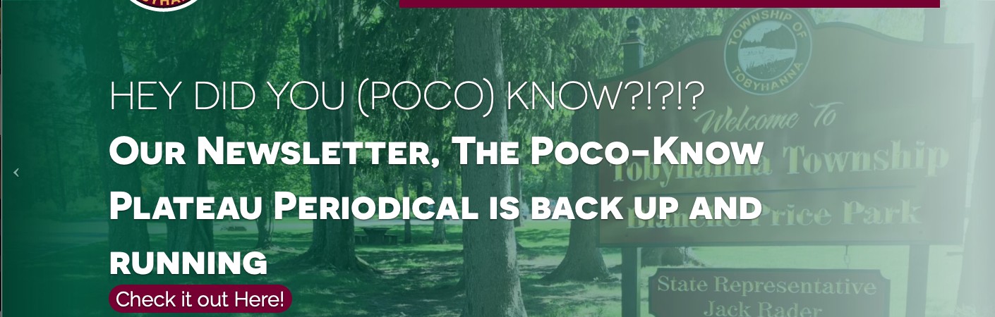 Hey did you (poco) know - newsletter banner
